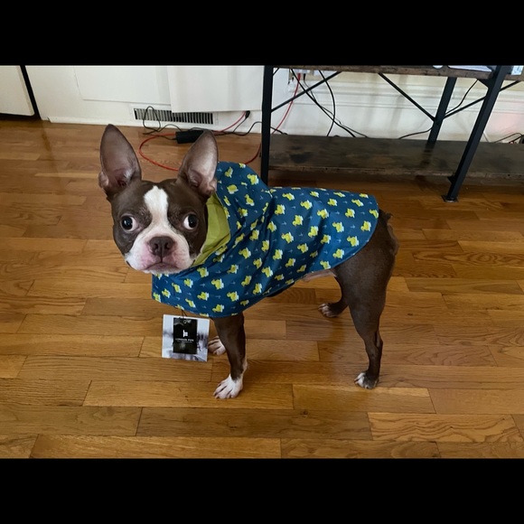 Meet your Posher, Amanda - Picture 2 of 8